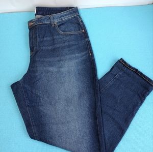 Lane Bryant Women's High Rise Jeans Size 14